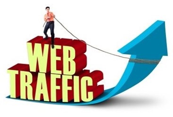 Paid Website Traffic 